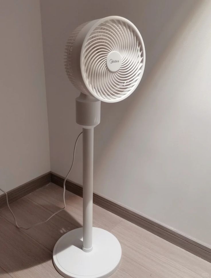 Fans